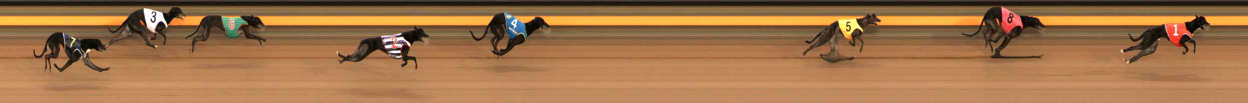 Photo finish for Ballarat Race 1