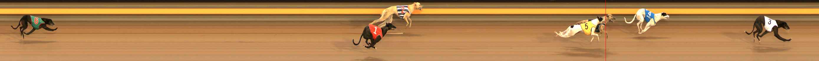 Photo finish for Ballarat Race 2