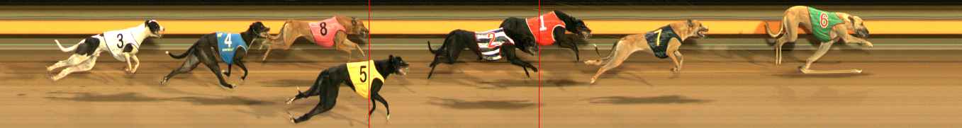 Photo finish for Ballarat Race 6