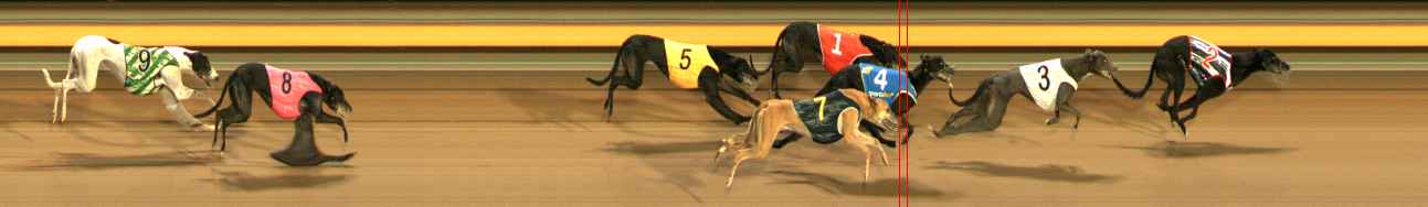 Photo finish for Ballarat Race 8