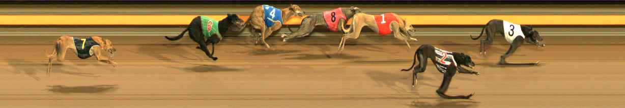 Photo finish for Ballarat Race 11