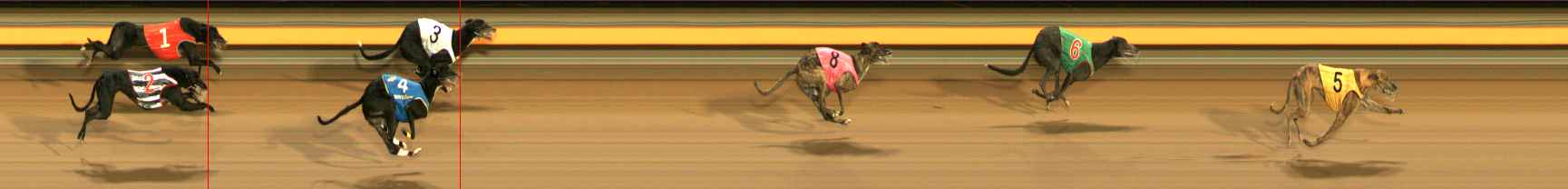 Photo finish for Ballarat Race 12