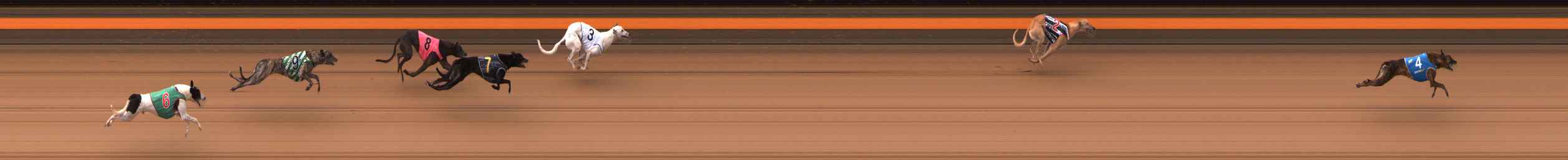 Photo finish for Ballarat Race 2