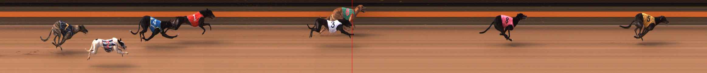 Photo finish for Ballarat Race 7