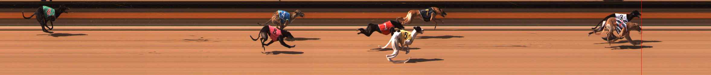 Photo finish for Ballarat Race 8