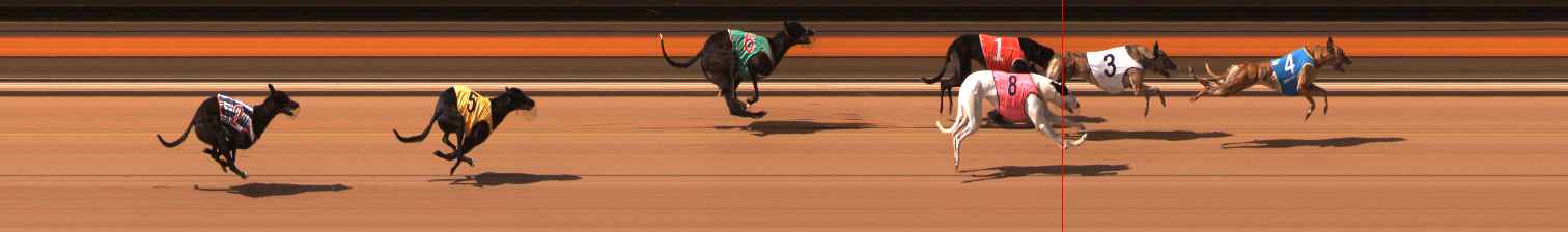 Photo finish for Ballarat Race 9