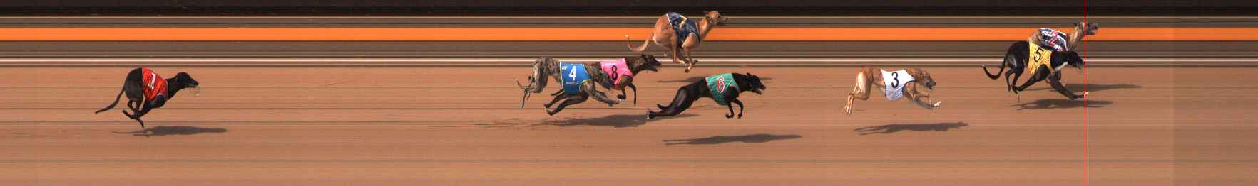 Photo finish for Ballarat Race 10