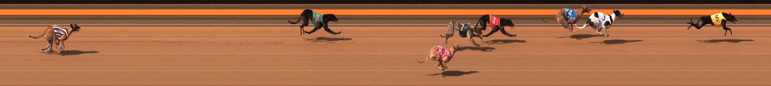 Photo finish for Ballarat Race 11