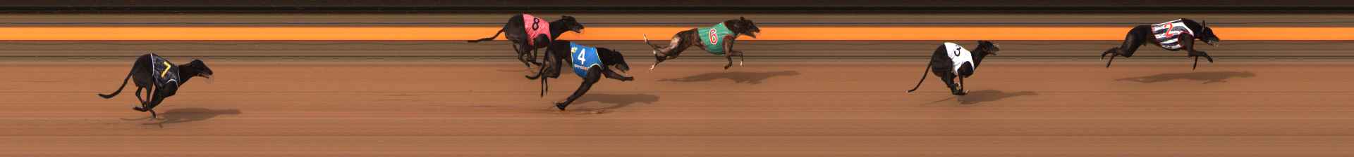 Photo finish for Ballarat Race 14