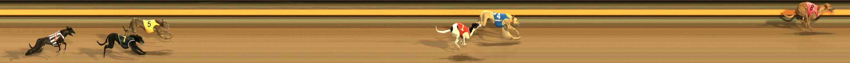 Photo finish for Ballarat Race 1