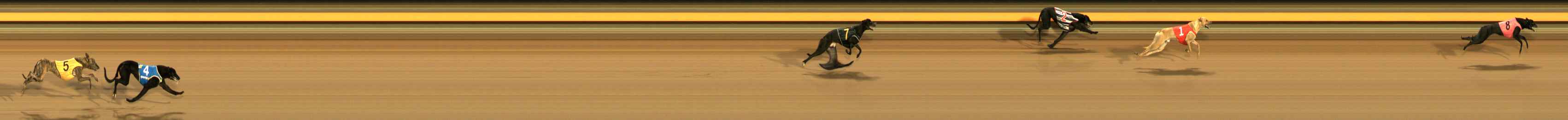 Photo finish for Ballarat Race 2