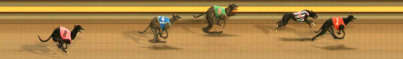 Photo finish for Ballarat Race 10