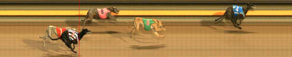 Photo finish for Ballarat Race 11