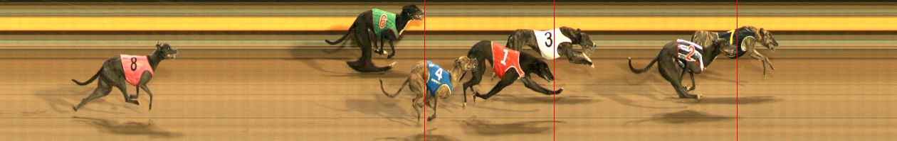 Photo finish for Ballarat Race 12