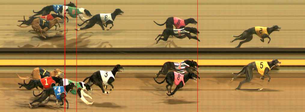 Photo finish for Ballarat Race 13