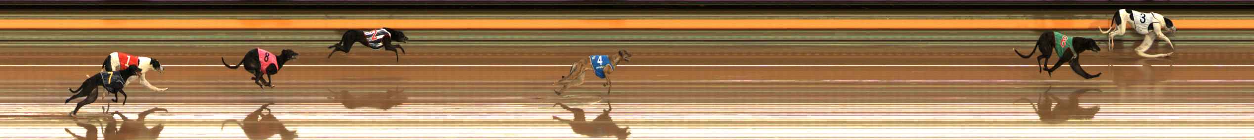 Photo finish for Ballarat Race 1