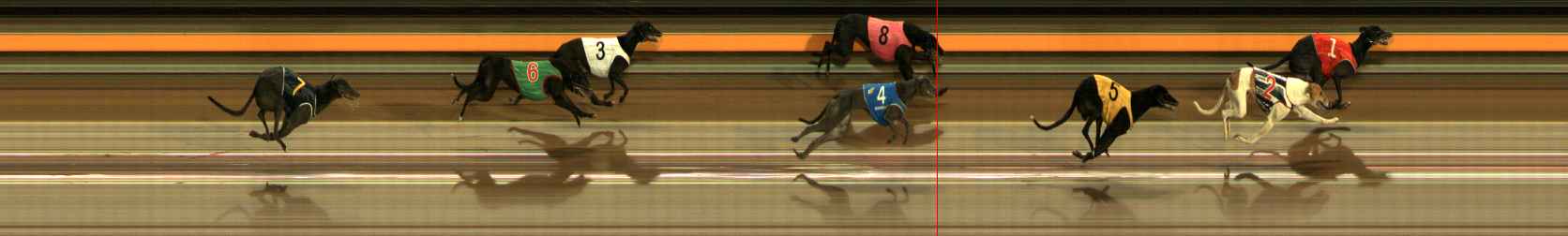 Photo finish for Ballarat Race 4