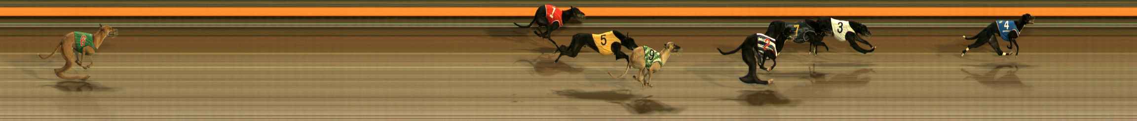 Photo finish for Ballarat Race 5