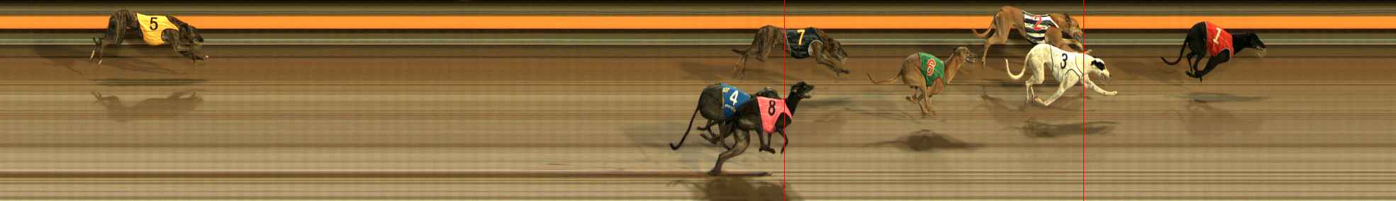 Photo finish for Ballarat Race 6