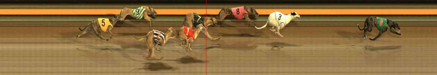 Photo finish for Ballarat Race 9