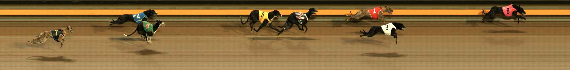 Photo finish for Ballarat Race 10
