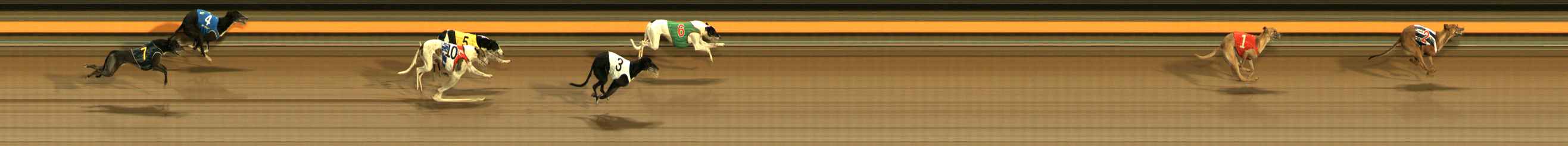 Photo finish for Ballarat Race 12