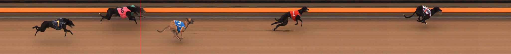 Photo finish for Ballarat Race 2