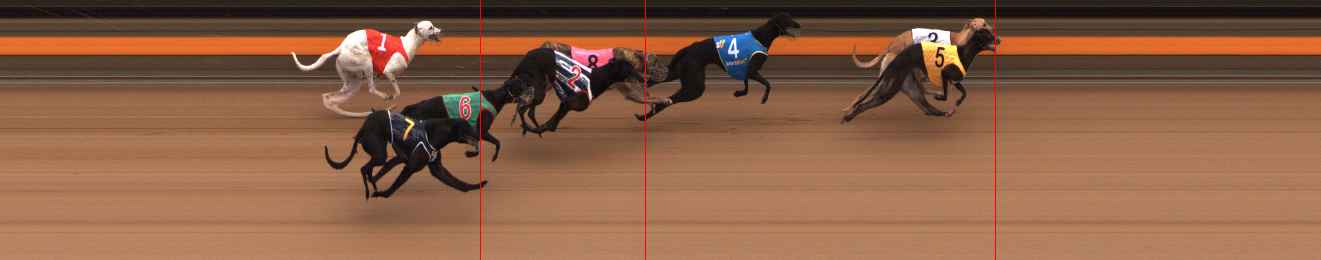 Photo finish for Ballarat Race 3