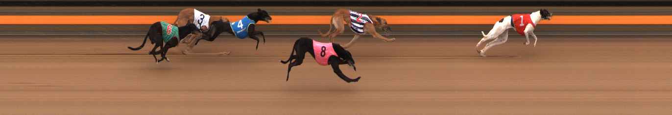 Photo finish for Ballarat Race 5
