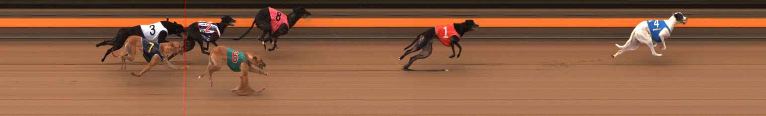 Photo finish for Ballarat Race 9