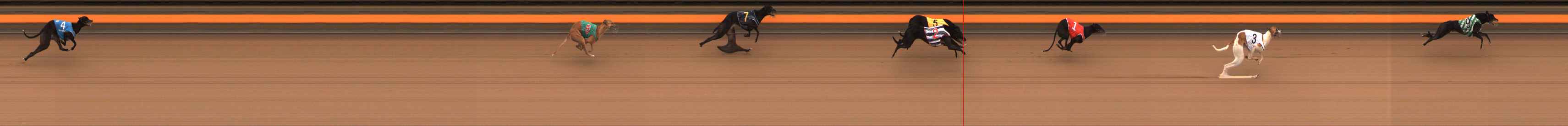 Photo finish for Ballarat Race 13