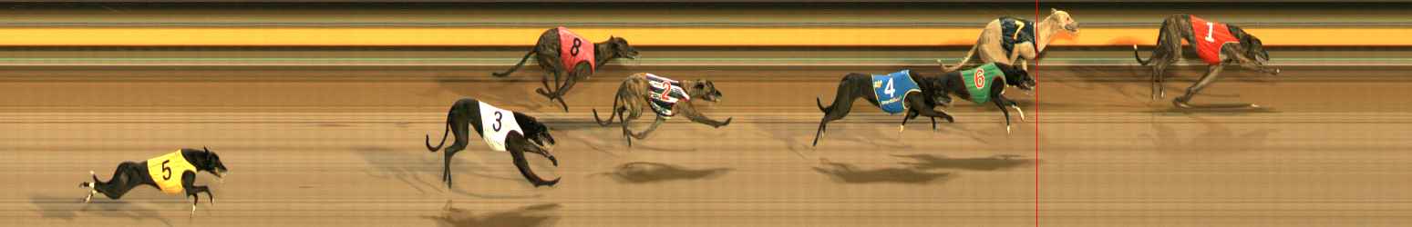 Photo finish for Ballarat Race 2