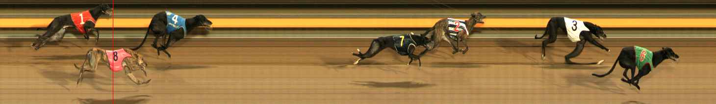 Photo finish for Ballarat Race 8
