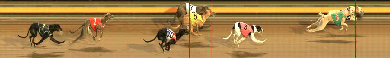 Photo finish for Ballarat Race 10