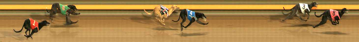 Photo finish for Ballarat Race 12