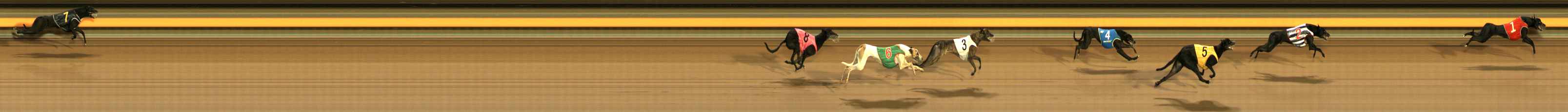 Photo finish for Ballarat Race 14