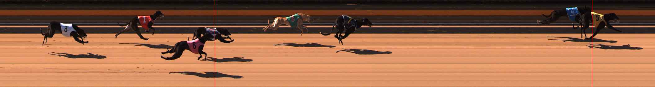 Photo finish for Ballarat Race 1