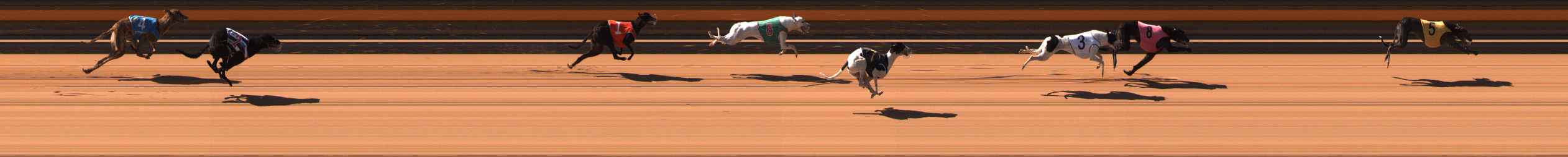 Photo finish for Ballarat Race 2
