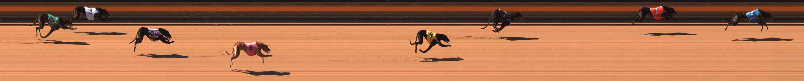 Photo finish for Ballarat Race 4
