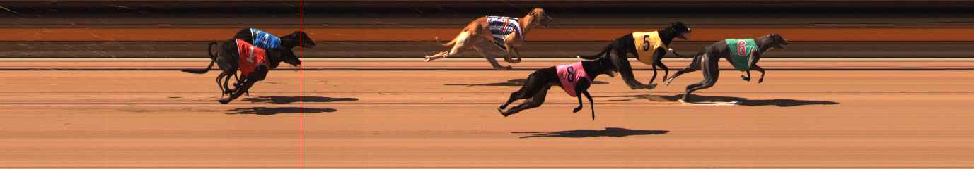 Photo finish for Ballarat Race 6