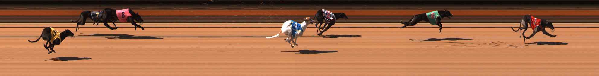 Photo finish for Ballarat Race 7