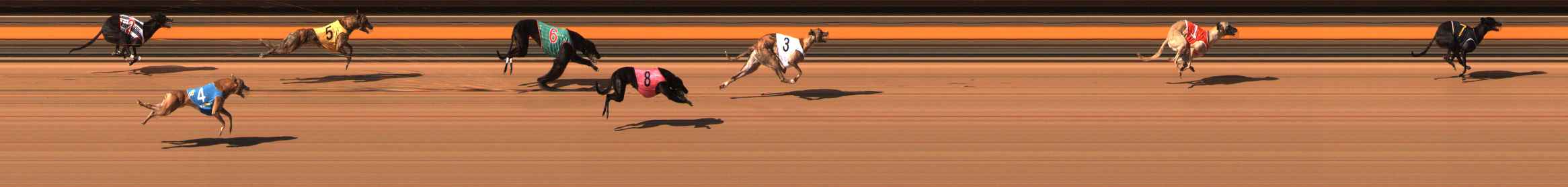 Photo finish for Ballarat Race 11