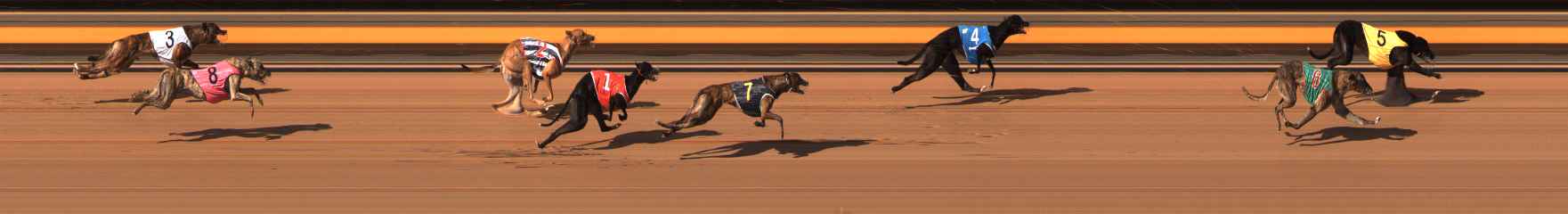 Photo finish for Ballarat Race 12
