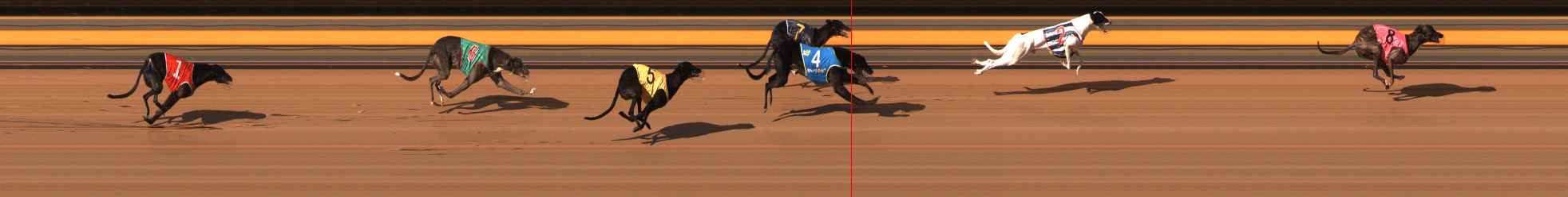 Photo finish for Ballarat Race 13