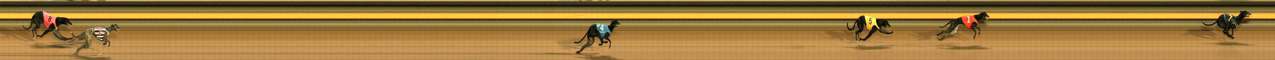 Photo finish for Ballarat Race 1
