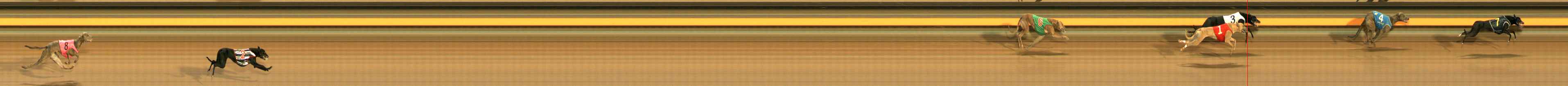 Photo finish for Ballarat Race 2