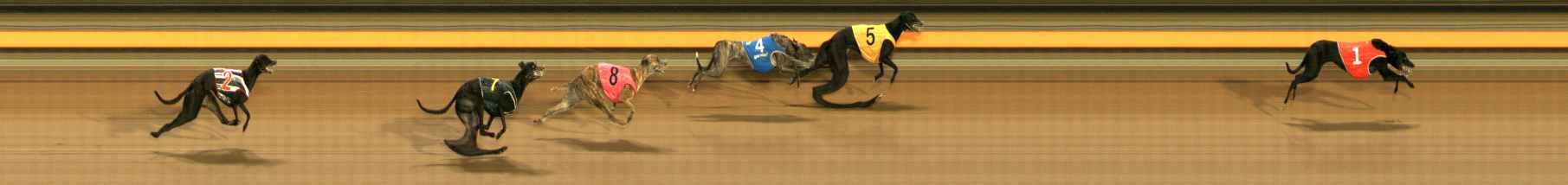 Photo finish for Ballarat Race 3