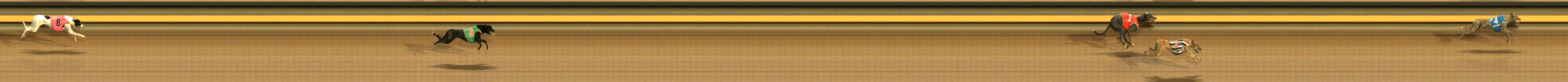 Photo finish for Ballarat Race 6