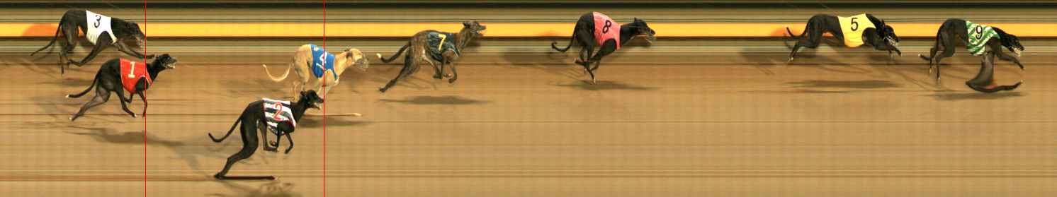 Photo finish for Ballarat Race 8