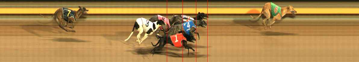 Photo finish for Ballarat Race 12